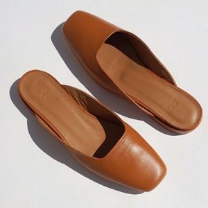 LoQ Lucia slides